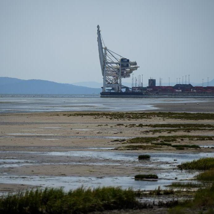 B.C. container terminal operator calls its emissions data a 'trade secret'